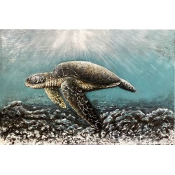 Tableau métal Tortue 60x90 EN RELIEF