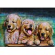 Tableau métal Les chiots 40x60 EN RELIEF FOND BOIS