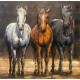 Tableau métal Les chevaux 60X60 EN RELIEF