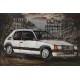 Tableau métal Peugeot 205 vintage 40X60 EN RELIEF