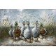 Tableau métal Les canards 40x60 EN RELIEF