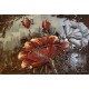 Tableau métal Pavot et coquelicot 40x60 EN RELIEF