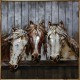 Chevaux au box 80x80